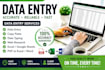 do data entry, web research and copy paste tasks