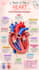 summarize medical lectures into clear and easy notes