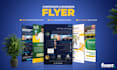 design creative flyer and brochure for you