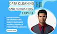 do data cleaning, data analysis, tables and charts