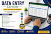 do data entry typing work job and ms excel data entry