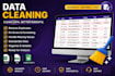 professional data cleaning services