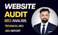 perform technical SEO audit and fix website issues