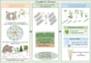 create publication quality scientific figures and graphical abstracts