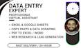 do expert data entry and b2b lead generation