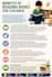 write professional SEO articles, blogs, and website content