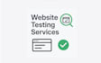 test your website for any bugs or UI and UX issues