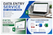 data entry and excel services