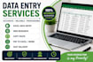 provide fast and reliable data entry services