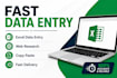 accurate data entry, web research, excel data entry and copy paste