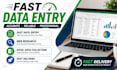 do fast data entry, web research and excel data collection