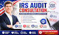 provide irs audit consultation, document prep, questionnaires, business tax help