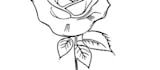 design unique black and grey tattoo