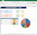create a professional excel dashboard, report, or tracker