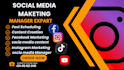 provide structured results driven social media management and content