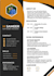 design professional CV, resume and format ms word documents