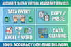 do excel data entry, copy and paste, PDF to docx, and data cleaning