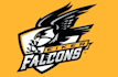 create high quality eagle mascot logo with t shirt design