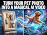turn your pets photo into a magical animated video