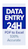 do manual data entry PDF to excel typing