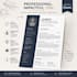 design a professional minimal resume or executive CV