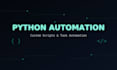 build a python web scraper or automation script for you