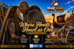 edit your romance book