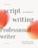 be your professional youtube scriptwriter