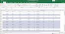 excel data entry and PDF conversion services