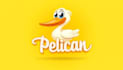 make eye catching pelican bird logo only 12 hours