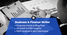 write professional business articles and finance blogs