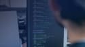 write custom python automation scripts and rest API tests