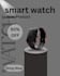 do luxury watch poster