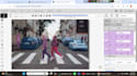 do professional image annotation and data labeling