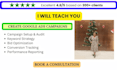 provide expert google ads consultation