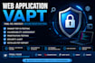 perform website security testing and vulnerability assessment