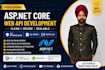 develop secure asp net core web API with sql server