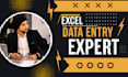 do fast excel data entry, cleaning, web research, copy paste , PDF conversions