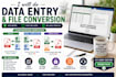 do data entry and pdf conversion