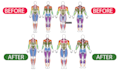 design professional anatomy and muscle infographic