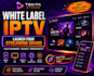 set up your iptv business with app panel, dns and full technical support