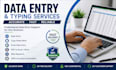 do data entry and typing work professionally