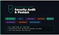 perform web application security audit and owasp assessment