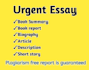 do book summary writing and urgent essay on any topic