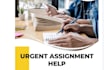 write plagiarism free essays that guarantee good grades