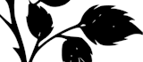 create name and script tattoo design