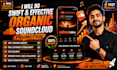 do swift and effective organic soundcloud promotion