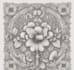 illustrate best botanical illustration