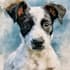 do watercolor pet portrait, dog portrait cat