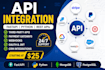 develop custom API integrations and automation workflows